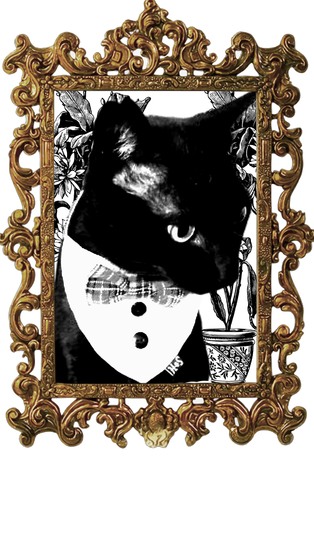black and white image of black cat with bow tie framed by a gold antique frame